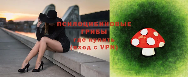 прущая мука Арсеньев